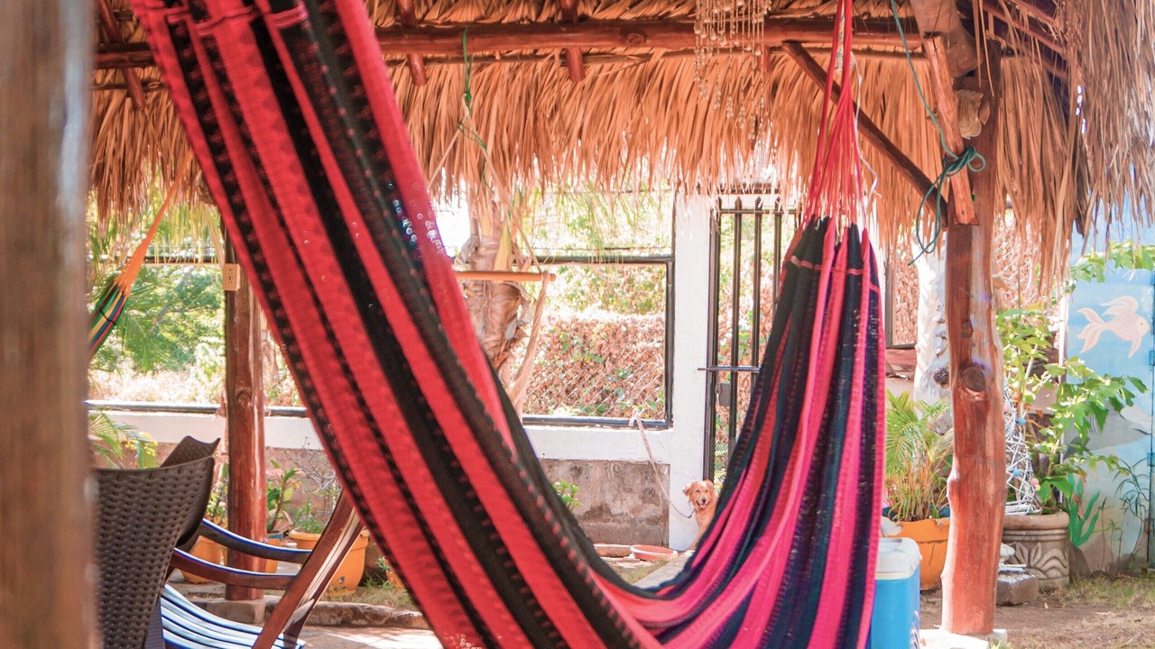 Photo of Patio Balcony in Las Penitas