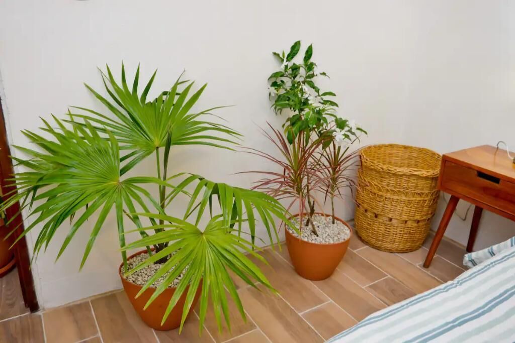 Photo of Bedroom in Granada