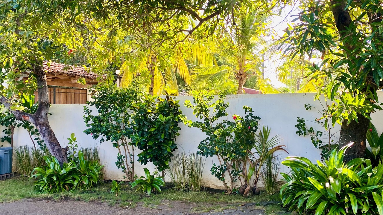 Photo of Outdoor in Leon