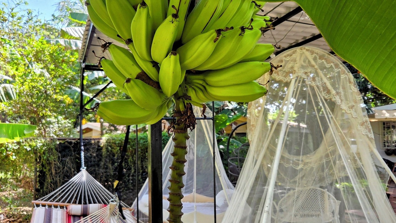 Photo of Patio Balcony in Managua