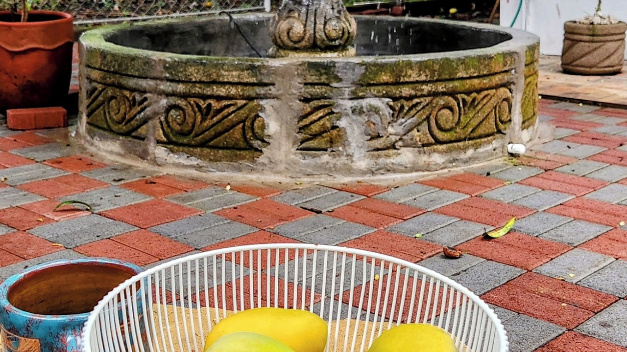 Photo of Outdoor in Managua