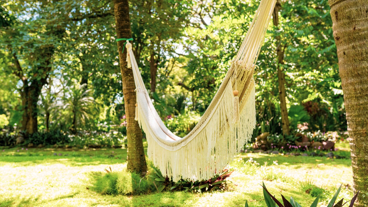 Photo of Outdoor in El Viejo