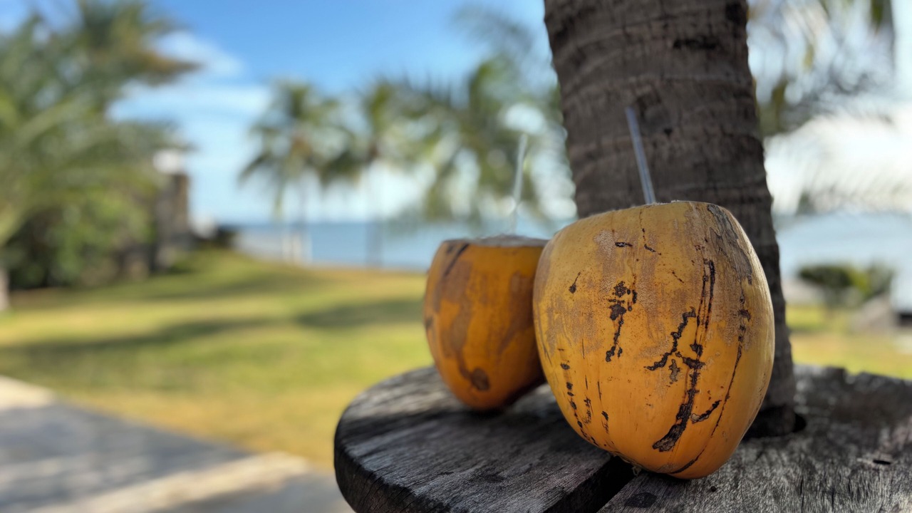 Photo of Outdoor in La Boquita