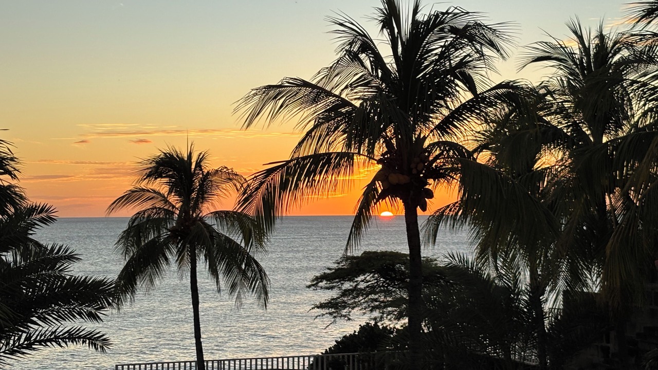 Photo of Outdoor in La Boquita