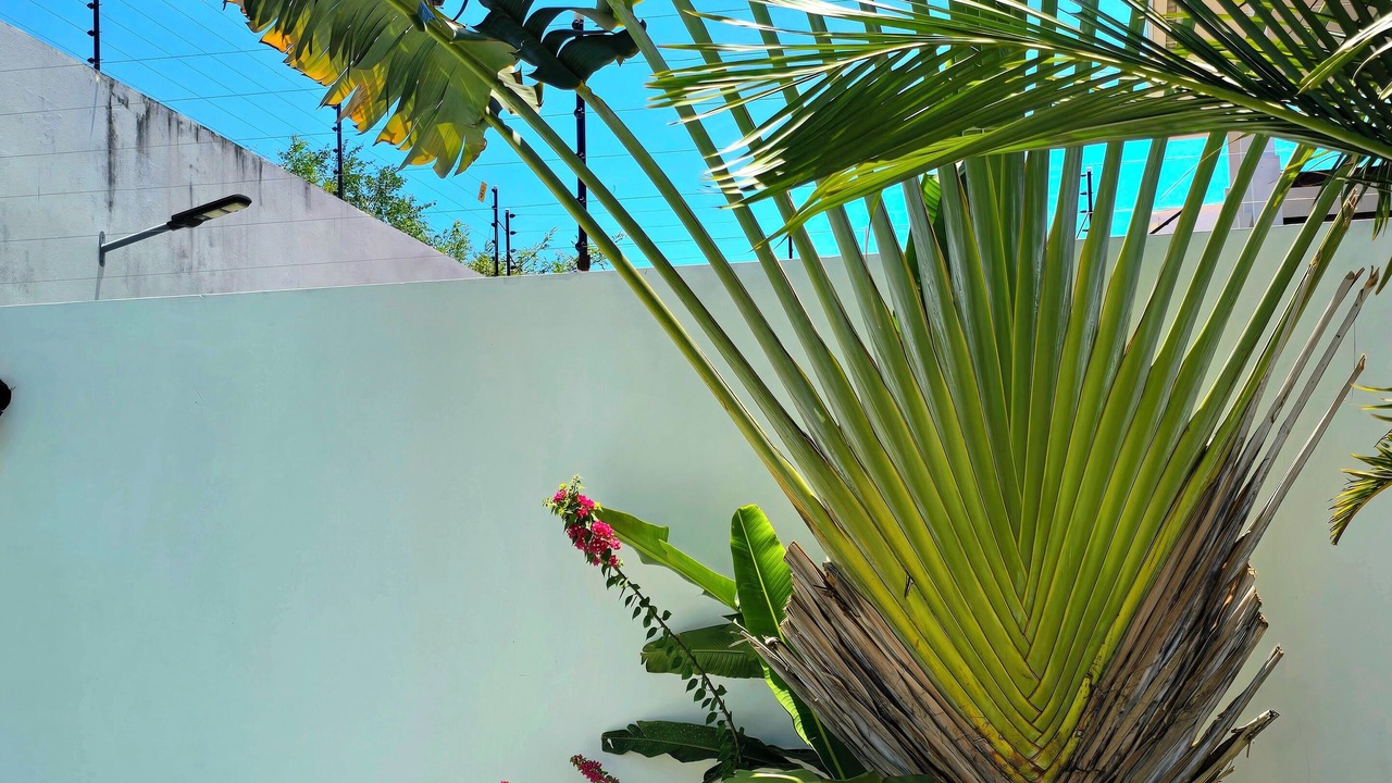 Photo of Outdoor in Granada