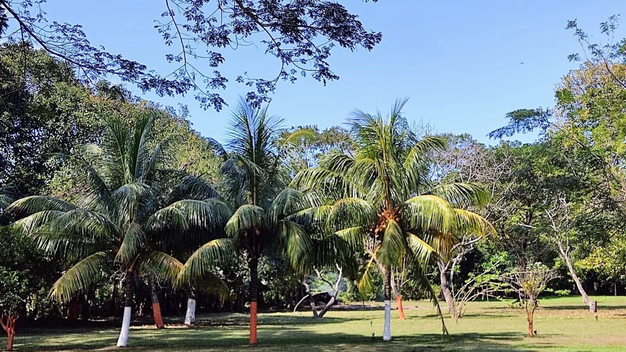Photo of Others in Diriomo