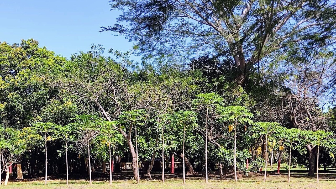 Photo of Others in Diriomo