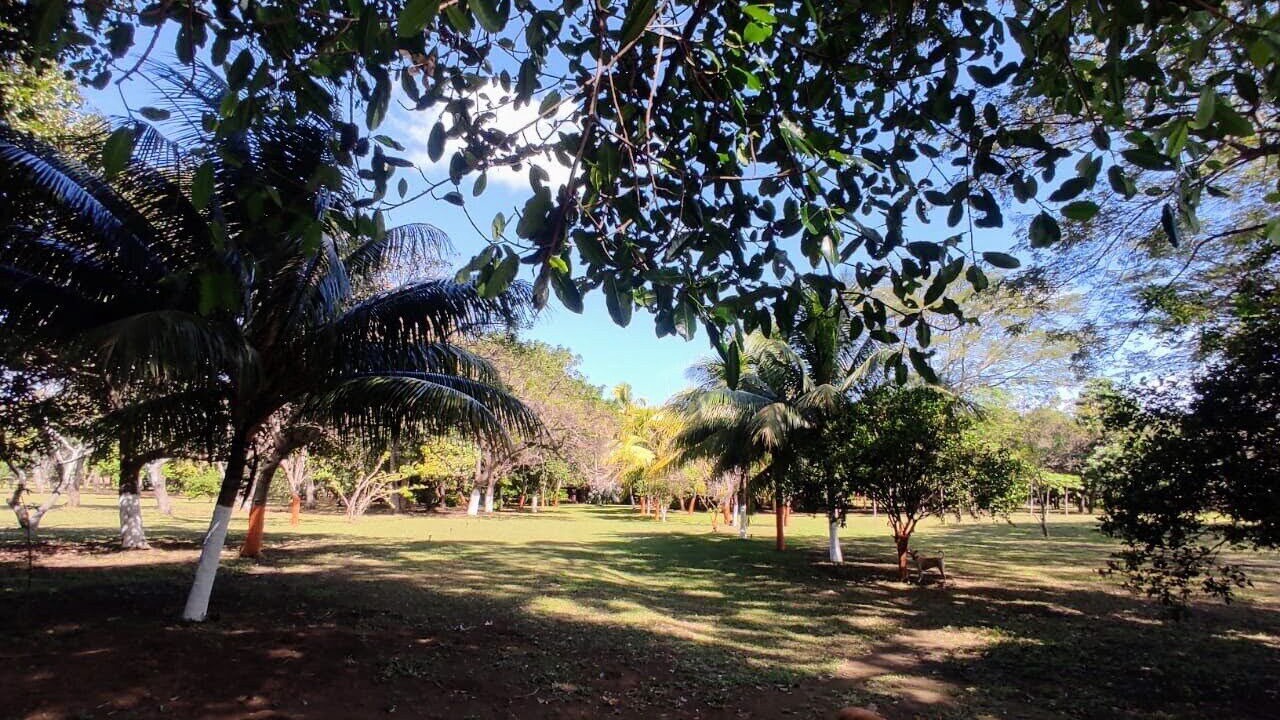 Photo of Outdoor in Diriomo