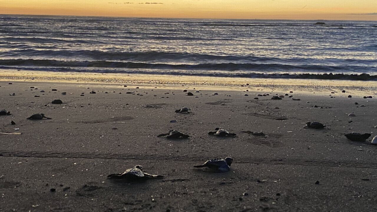 Photo of Others in San Diego