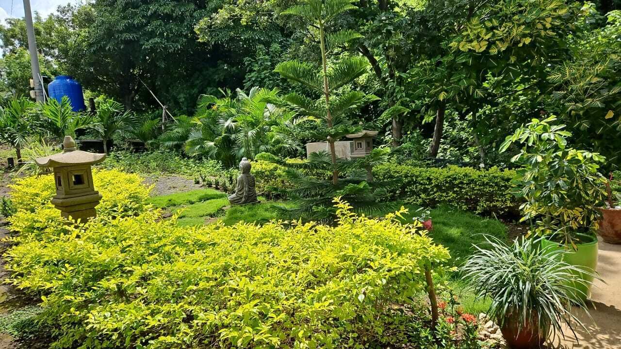 Photo of Outdoor in Managua