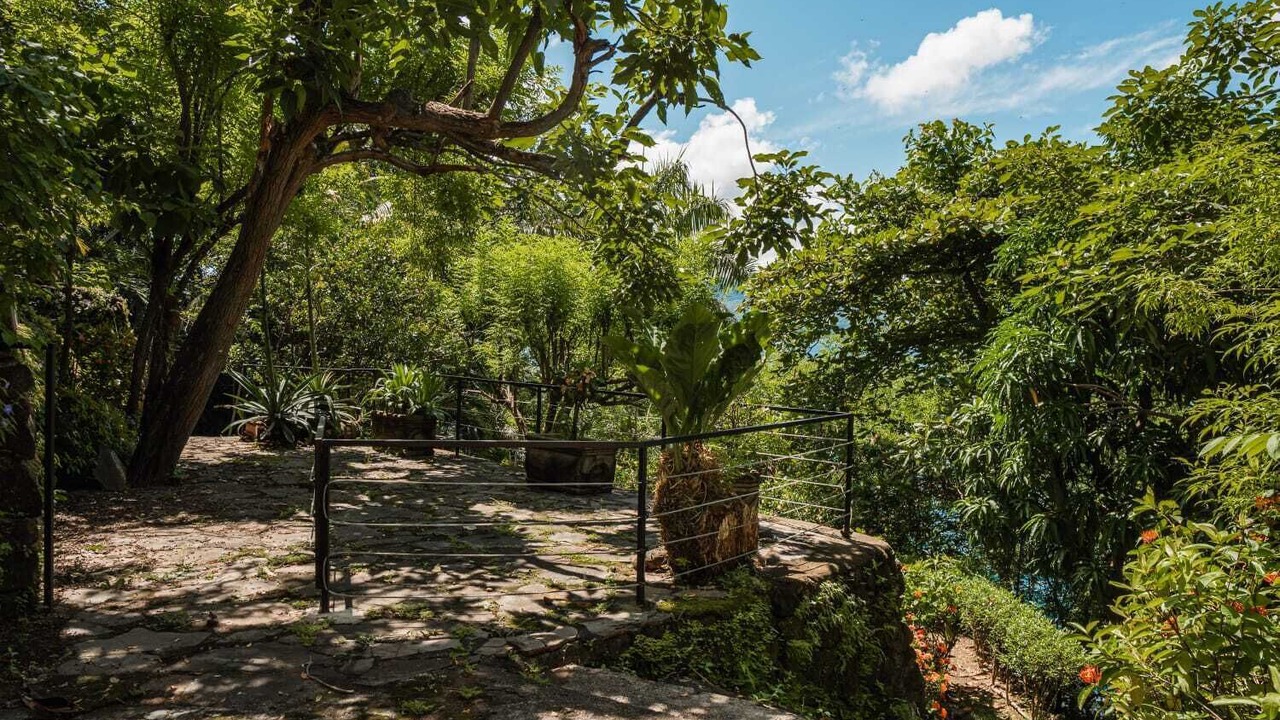 Photo of Outdoor in La Laguna