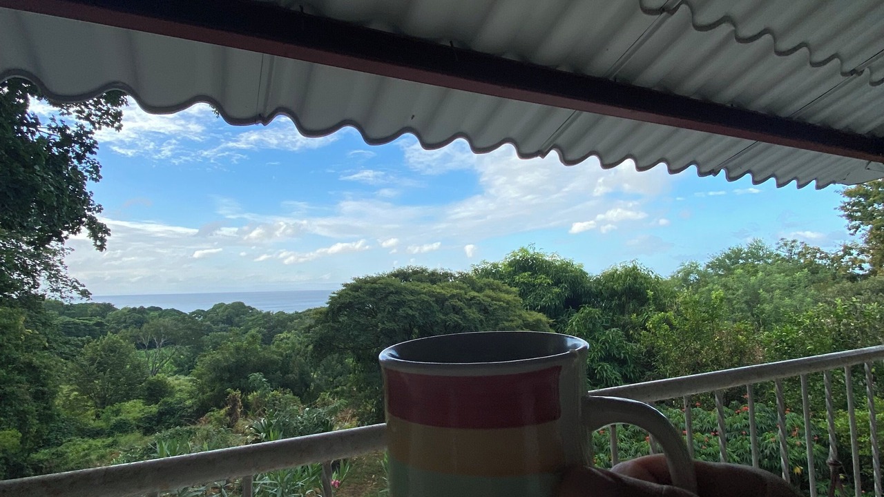 Photo of Others in Ometepe Island