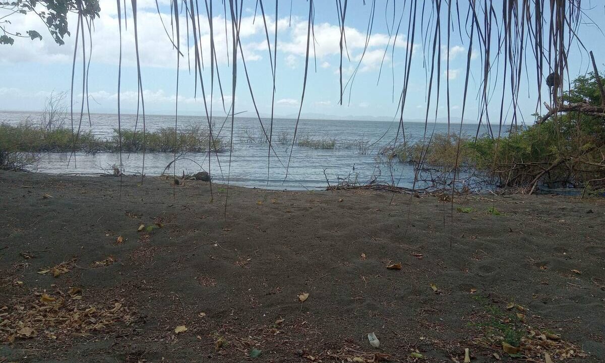 Photo of Others in Ometepe Island
