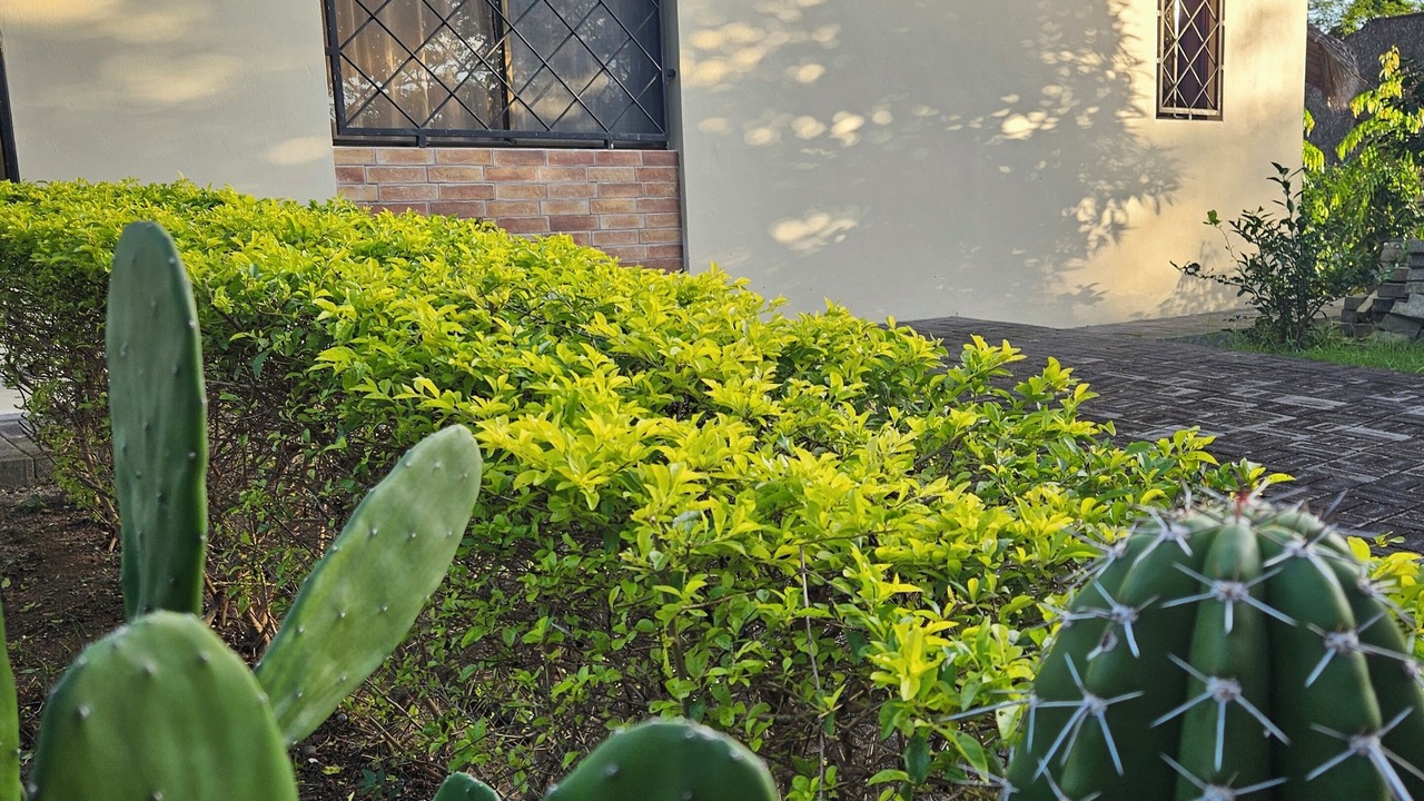 Photo of Outdoor in San Juan del Sur