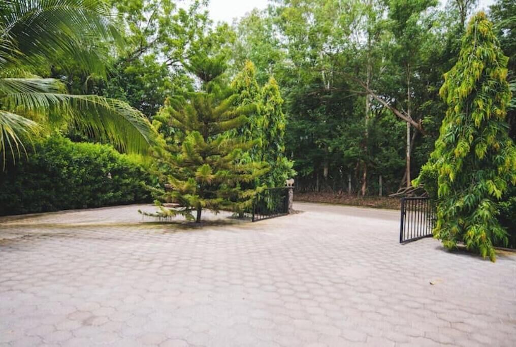 Photo of Outdoor in Aserradores