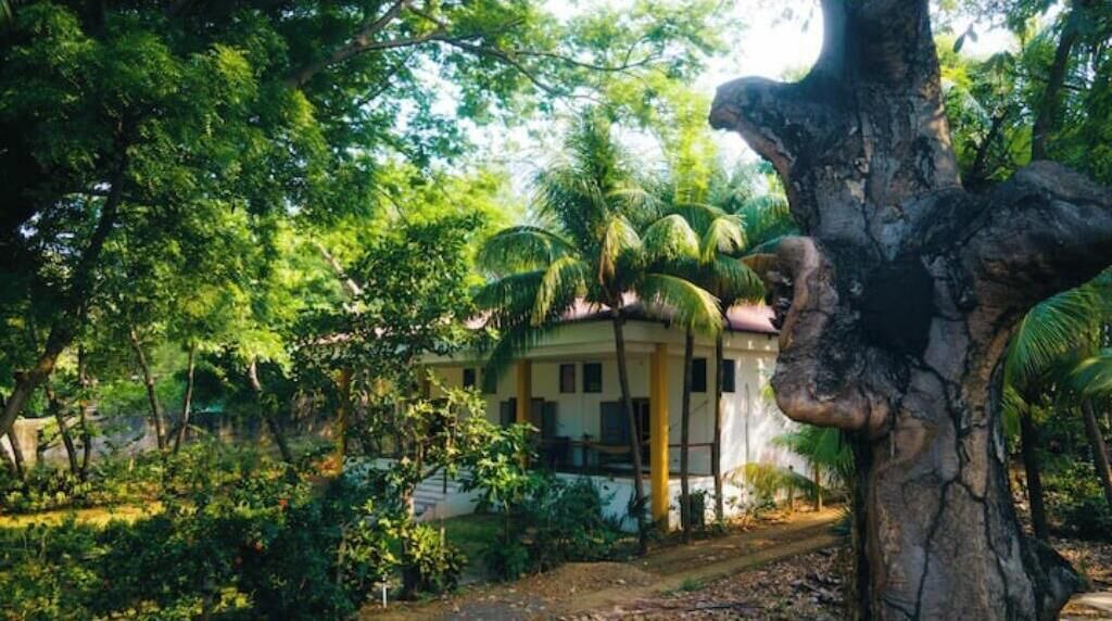 Photo of Outdoor in Aserradores