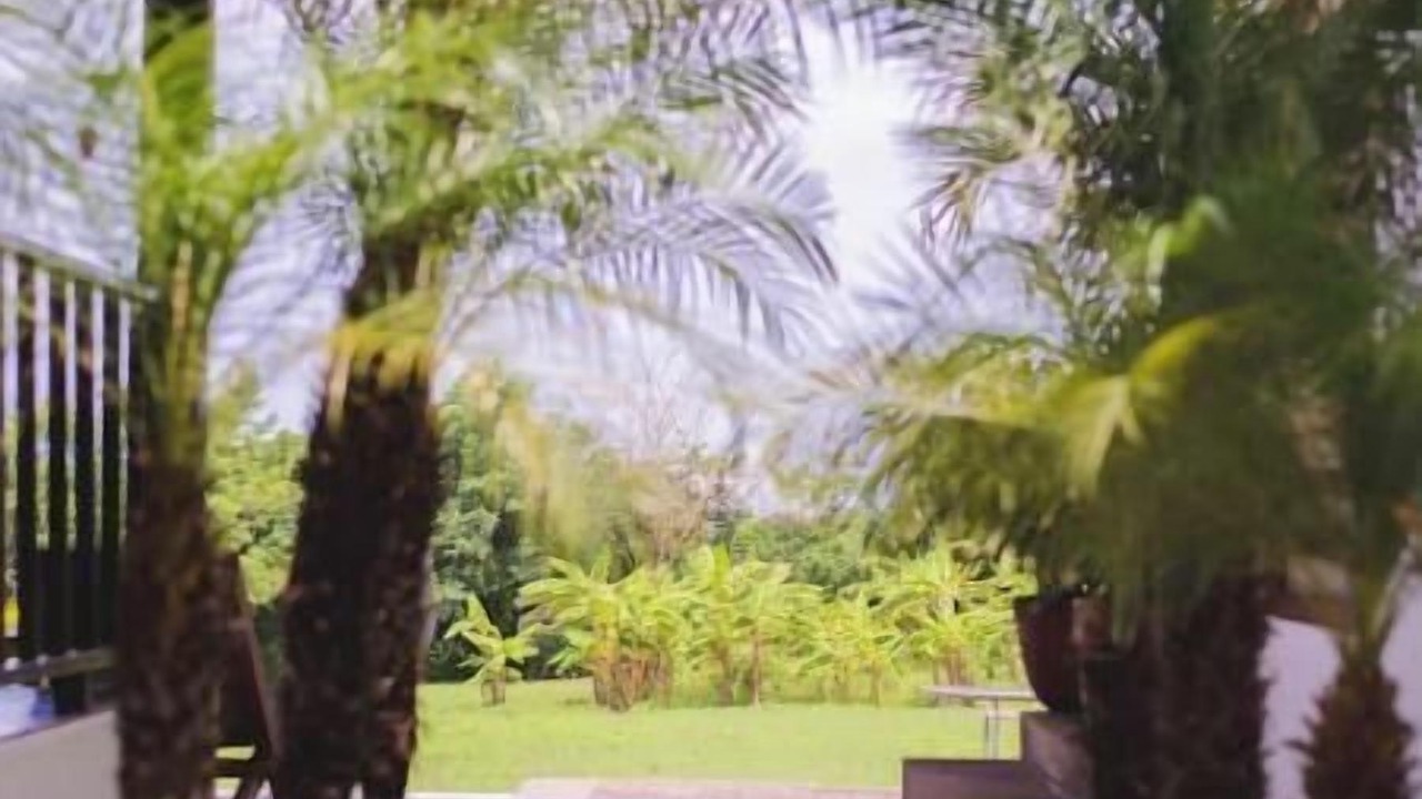 Photo of Patio Balcony in Aserradores
