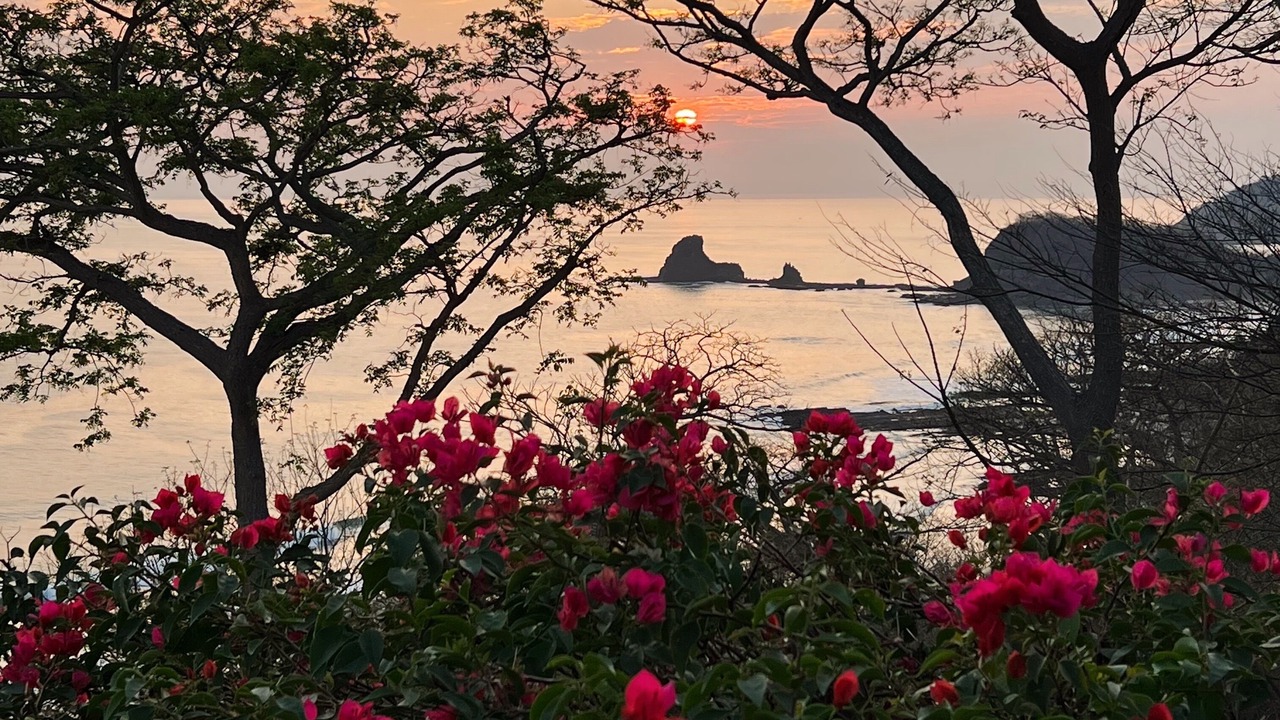 Photo of Others in San Juan del Sur