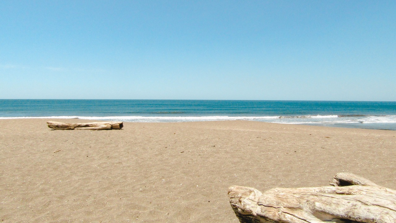 Photo of Others in Las Penitas