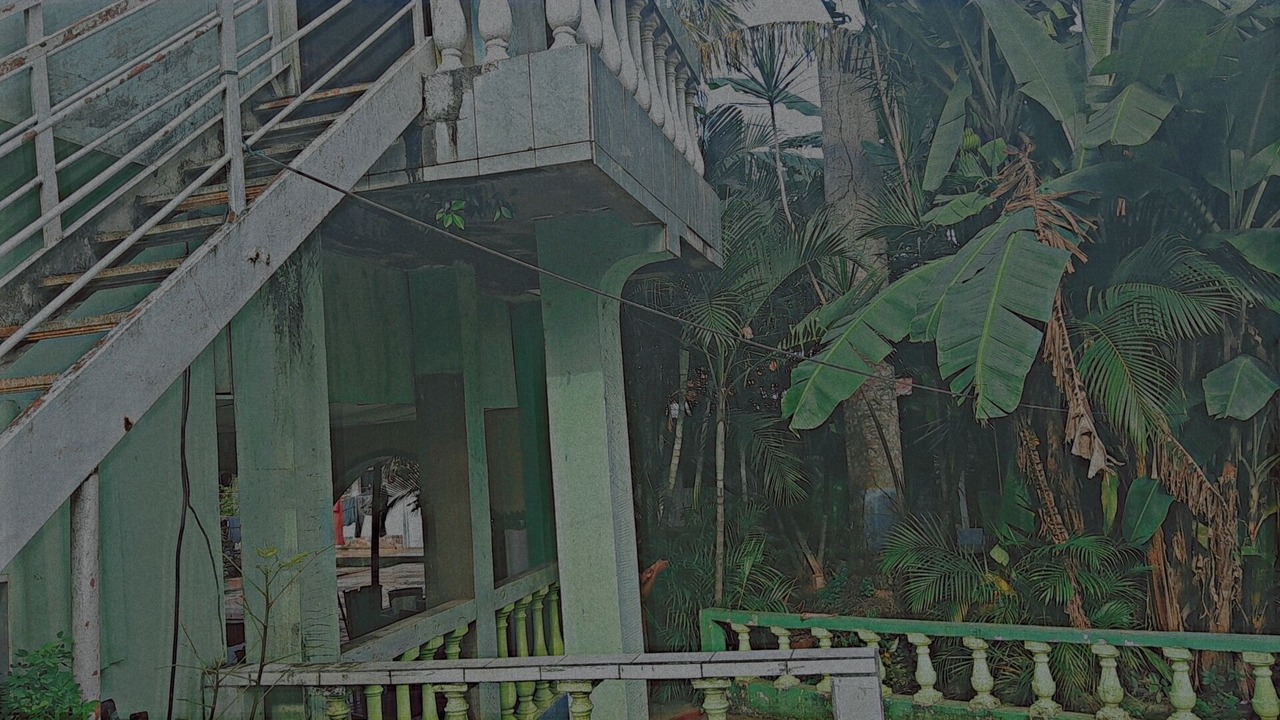 Photo of Outdoor in Masaya