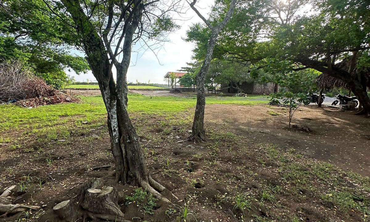 Photo of Outdoor in Aserradores