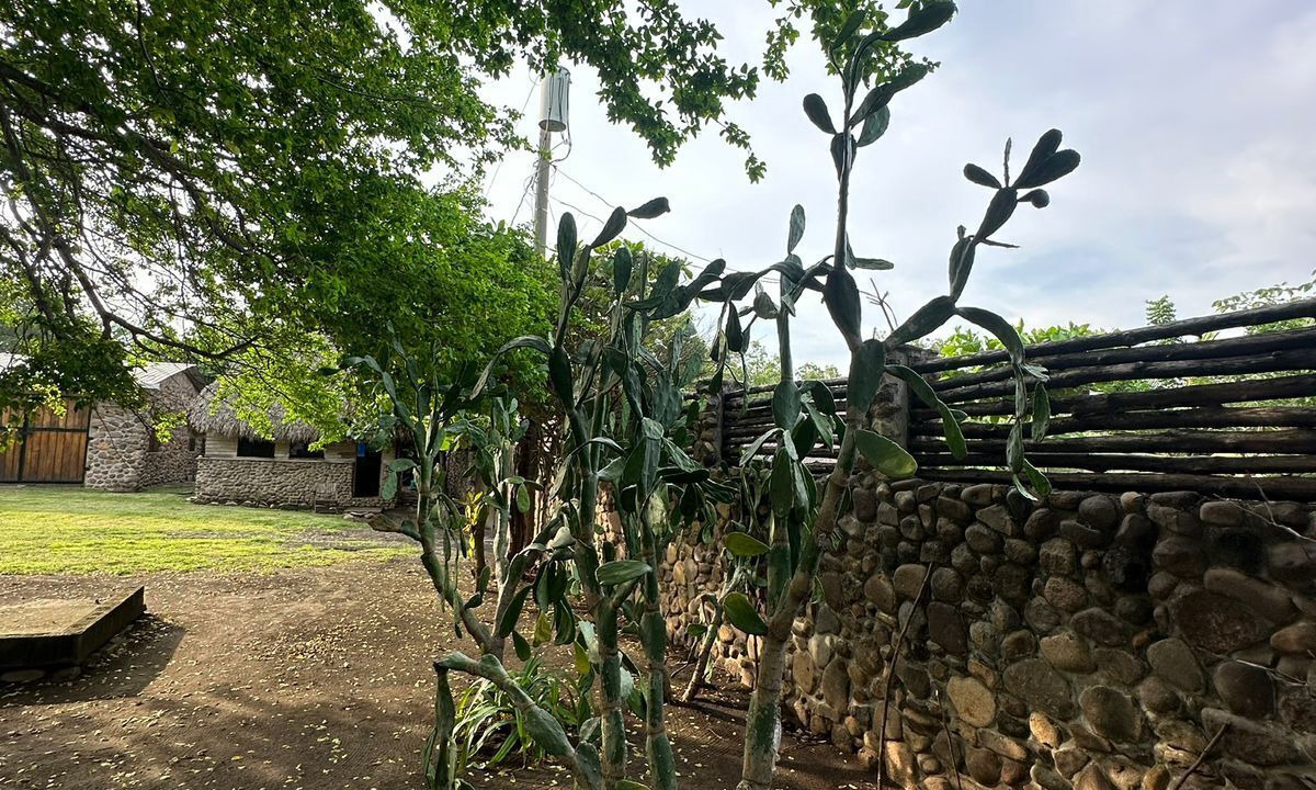 Photo of Outdoor in Aserradores