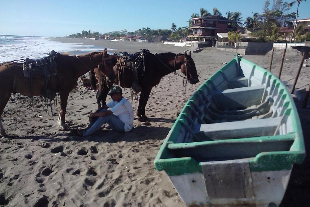 Photo of Others in Las Penitas