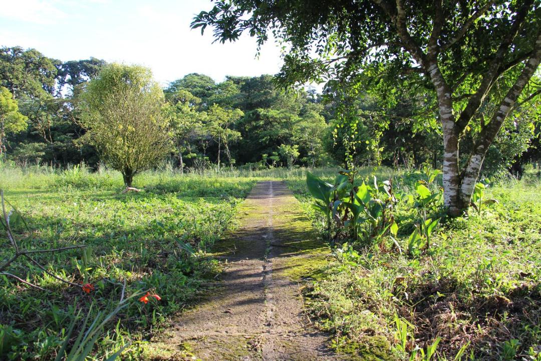 Photo of Outdoor in Puertas Azules