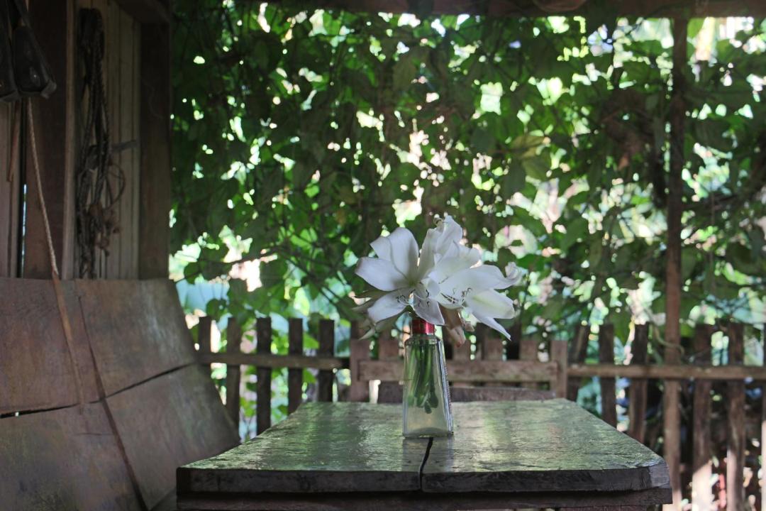 Photo of Others in Puertas Azules