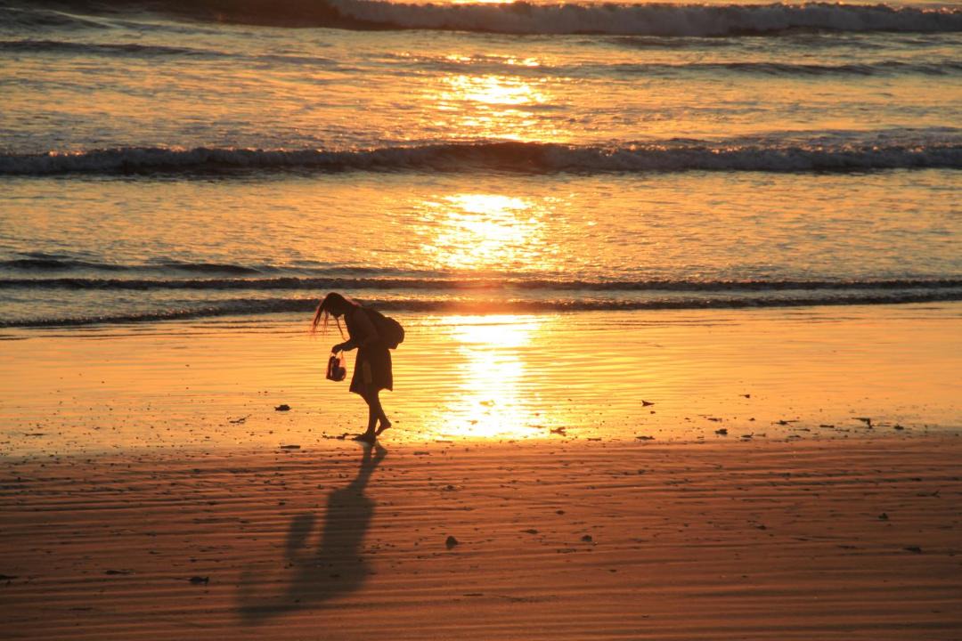 Photo of Others in San Diego