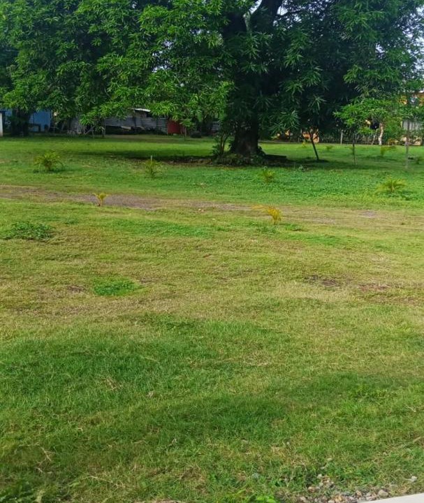 Photo of Others in Corn Island