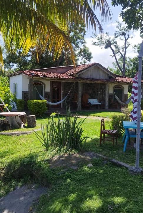Photo of Others in Ometepe Island