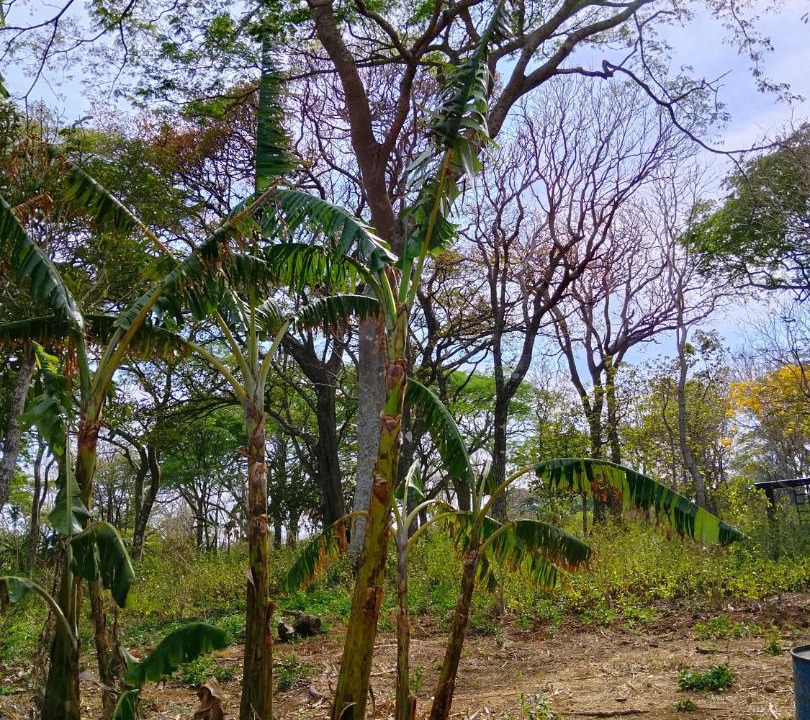 Photo of Others in Lago de Apoyo
