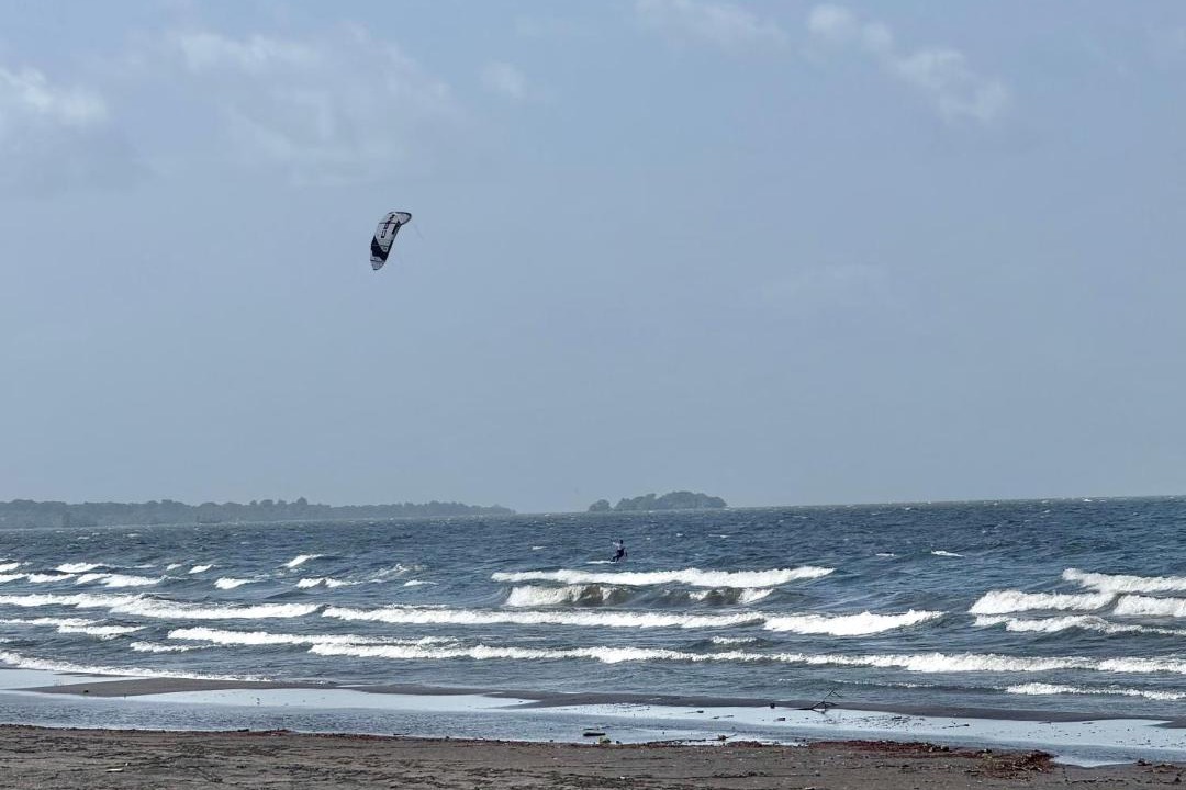 Photo of Others in Santa Cruz