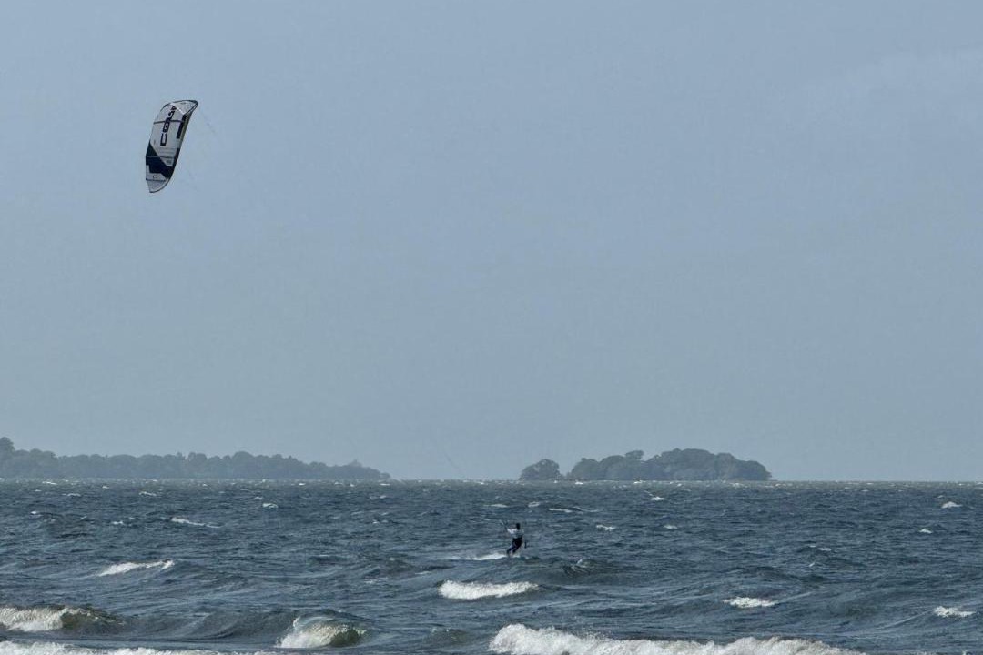 Photo of Others in Santa Cruz