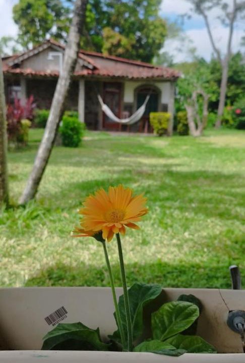 Photo of Others in Ometepe Island