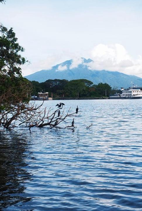 Photo of Others in Ometepe Island