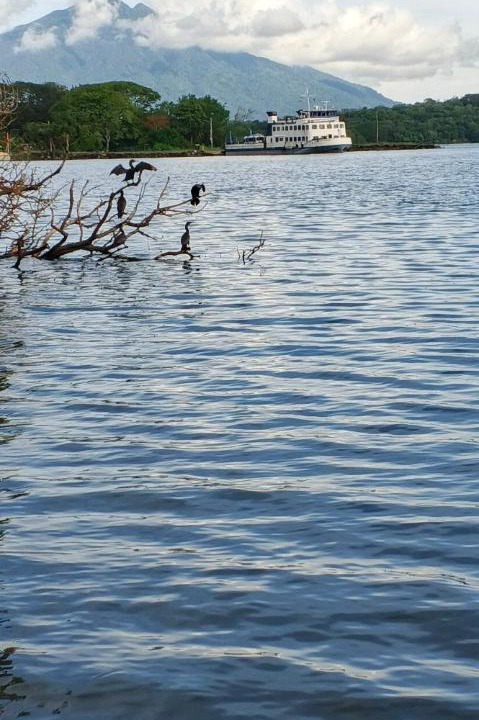 Photo of Others in Ometepe Island