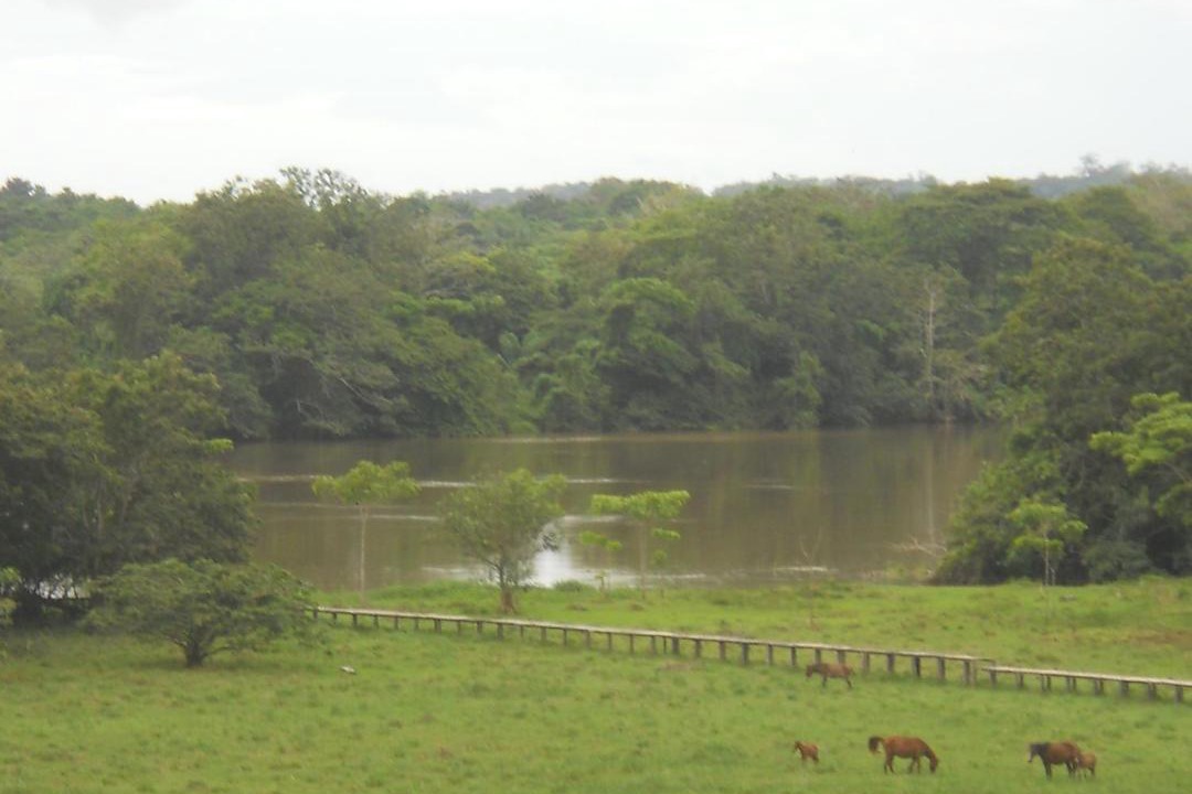 Photo of Others in Managua