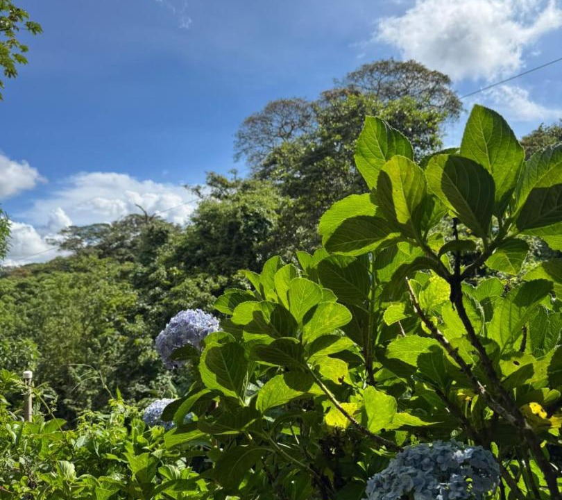 Photo of Outdoor in El Crucero