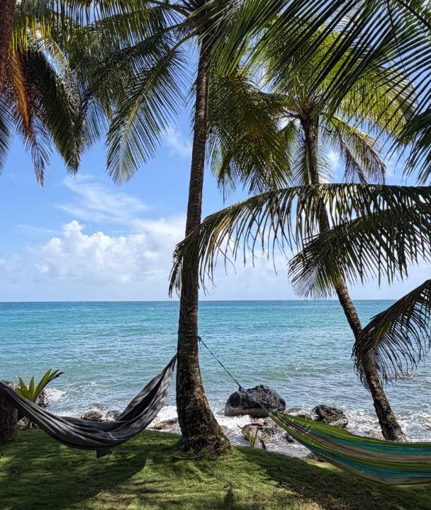 Photo of Others in Corn Island