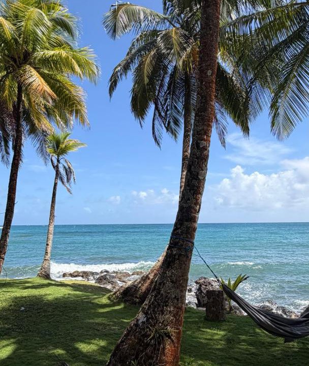 Photo of Others in Corn Island