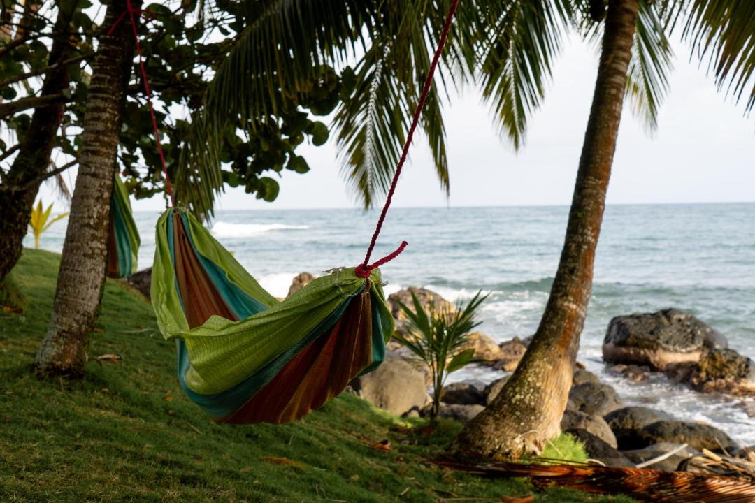 Photo of Others in Corn Island