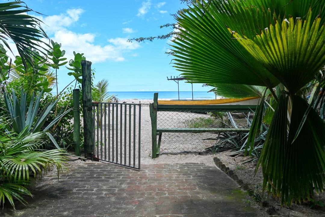 Photo of Others in Playa Gigante