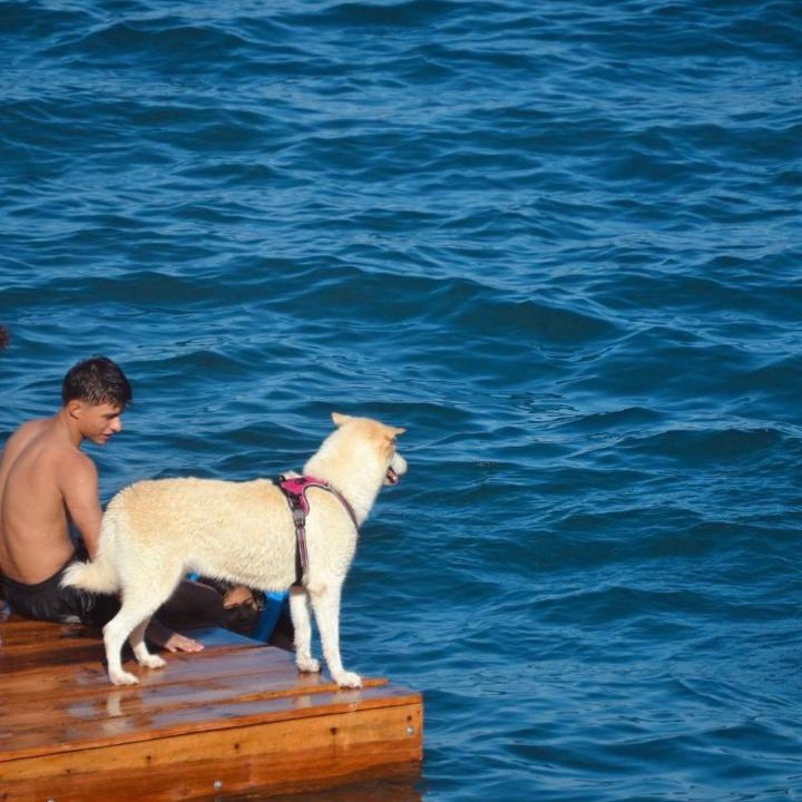 Photo of Others in Catarina