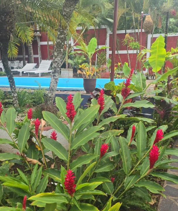 Photo of Others in San Juan de Oriente