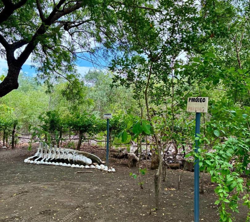 Photo of Outdoor in Aserradores