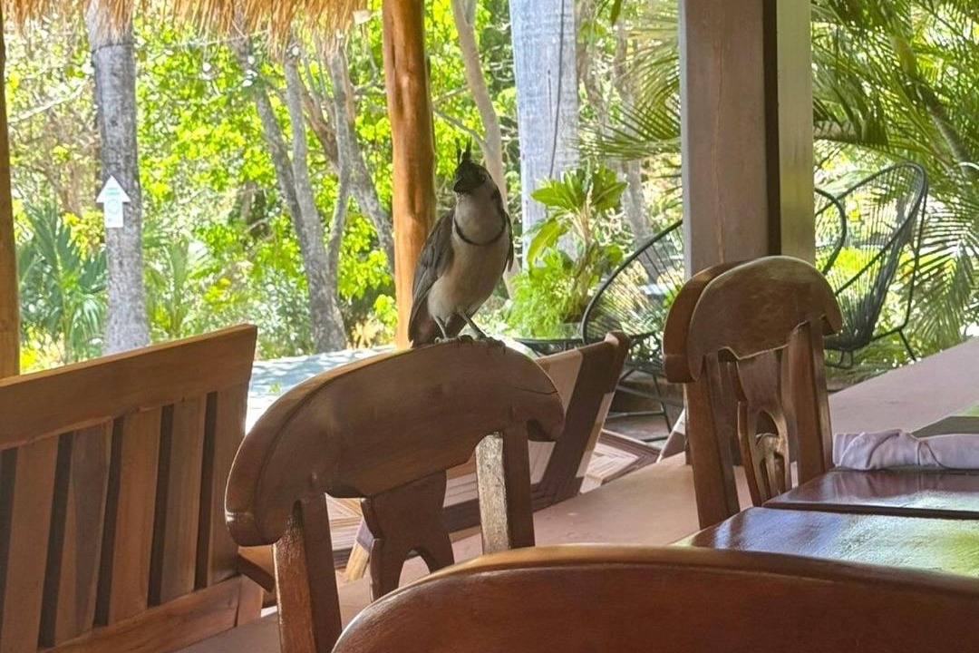 Photo of Others in San Juan del Sur