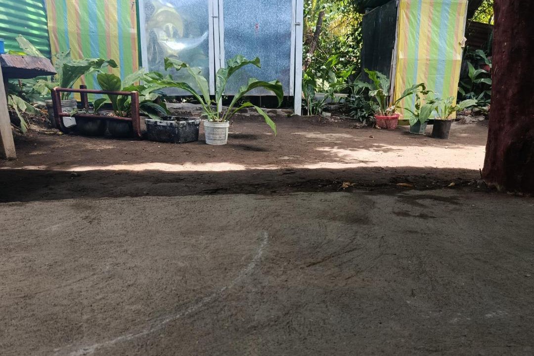 Photo of Others in Moyogalpa