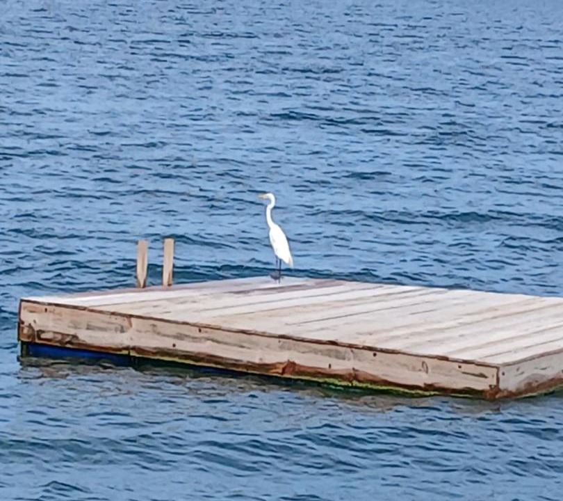 Photo of Others in Catarina